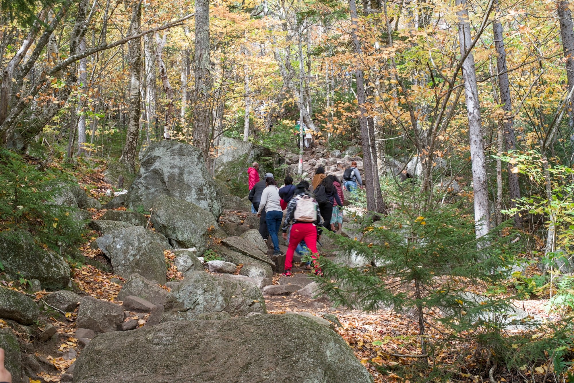 A group hiking up a rocky trail through an autumn forest