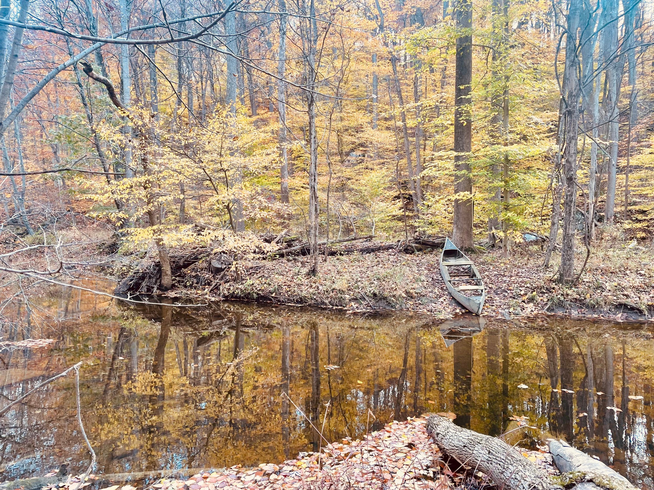 A canoe resting on the bank of a quiet creek surrounded by autumn woods